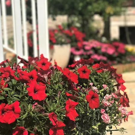 Διαμέρισμα Fortuna Λομπάρδα