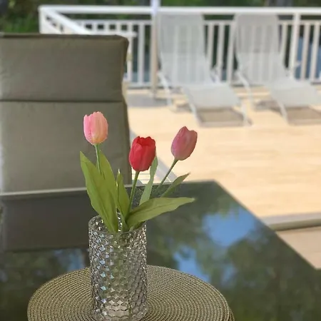 Διαμέρισμα Fortuna